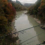 ヒメ日記 2025/11/05 11:26 投稿 とも美 いちべえ