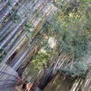 ヒメ日記 2025/02/25 00:08 投稿 提ひばり 松戸人妻花壇