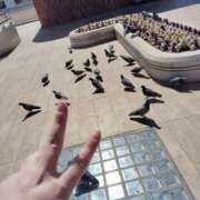 ヒメ日記 2025/03/09 21:14 投稿 提ひばり 松戸人妻花壇