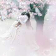 ヒメ日記 2025/03/10 04:06 投稿 提ひばり 松戸人妻花壇