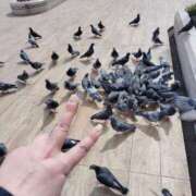 ヒメ日記 2025/03/19 02:08 投稿 提ひばり 松戸人妻花壇