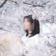 ヒメ日記 2025/04/22 13:29 投稿 提ひばり 松戸人妻花壇