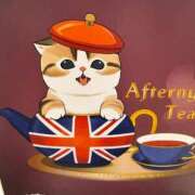 ヒメ日記 2025/07/19 20:34 投稿 国分まさみ 五十路マダムエクスプレス船橋店(カサブランカグループ)