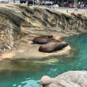 ヒメ日記 2025/05/21 04:42 投稿 のん◇人懐っこいモデル系美女◇ H-ash（アッシュ）