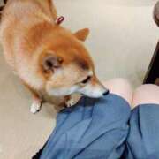 ヒメ日記 2024/12/21 15:41 投稿 なつき 素人オナクラ美少女