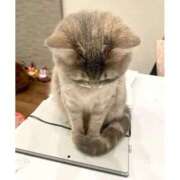 ヒメ日記 2025/04/11 18:59 投稿 ♡マフィン♡ ラブ♡エル