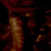 ヒメ日記 2025/04/29 07:00 投稿 ♡マフィン♡ ラブ♡エル