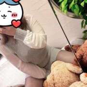 ヒメ日記 2025/05/26 08:38 投稿 ♡マフィン♡ ラブ♡エル