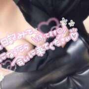 ヒメ日記 2025/08/30 07:30 投稿 ♡マフィン♡ ラブ♡エル