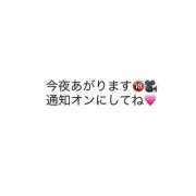 ヒメ日記 2026/07/29 20:01 投稿 ゆうか マットDEY-jo（マット・デ・ワイジョ）