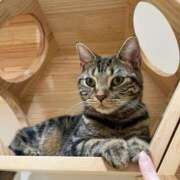 ヒメ日記 2025/02/22 17:54 投稿 七緒　いおり Oasis(薬研堀)