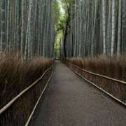 ヒメ日記 2025/08/01 21:16 投稿 七緒　いおり Oasis(薬研堀)