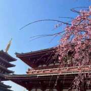 ヒメ日記 2026/04/03 20:24 投稿 七緒　いおり Oasis(薬研堀)