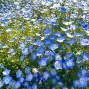 ヒメ日記 2026/04/26 17:14 投稿 七緒　いおり Oasis(薬研堀)
