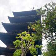 ヒメ日記 2026/04/28 01:24 投稿 七緒　いおり Oasis(薬研堀)