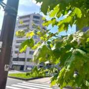 ヒメ日記 2026/07/19 01:50 投稿 七緒　いおり Oasis(薬研堀)