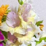 ヒメ日記 2026/08/06 08:05 投稿 七緒　いおり Oasis(薬研堀)