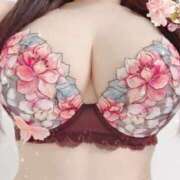 ヒメ日記 2025/08/11 08:48 投稿 たえ 桜sakura(名古屋)