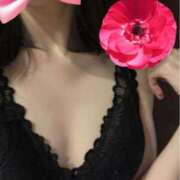 ヒメ日記 2025/04/08 00:04 投稿 れい 静岡人妻なでしこ（カサブランカグループ)