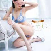 ヒメ日記 2025/09/02 19:06 投稿 れい 静岡人妻なでしこ（カサブランカグループ)