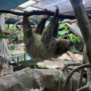 ヒメ日記 2025/06/13 03:46 投稿 みらい☆キレイ系美少女 那須塩原美少女図鑑