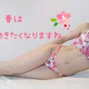 ヒメ日記 2025/02/26 21:30 投稿 りほ 奥鉄オクテツ神奈川店（デリヘル市場グループ）