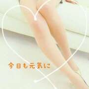 ヒメ日記 2025/04/15 08:20 投稿 りほ 奥鉄オクテツ神奈川店（デリヘル市場グループ）