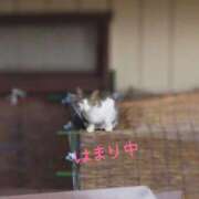 ヒメ日記 2025/05/29 14:25 投稿 りほ 奥鉄オクテツ神奈川店（デリヘル市場グループ）