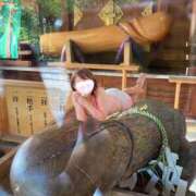 ヒメ日記 2025/11/11 23:56 投稿 あこ 奥様の実話 梅田店