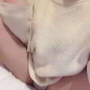 ヒメ日記 2025/03/13 17:25 投稿 せい 21世紀