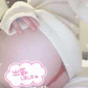 ヒメ日記 2025/12/01 16:51 投稿 せい 21世紀