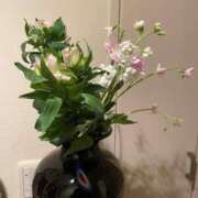 ヒメ日記 2025/02/02 21:42 投稿 みさ 人妻小旅行