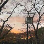 ヒメ日記 2025/12/27 20:57 投稿 みさ 人妻小旅行