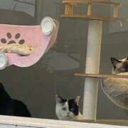 みさ 明日でます🌸 人妻小旅行