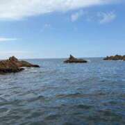 ヒメ日記 2025/10/28 14:40 投稿 最上　みうな エテルナ京都