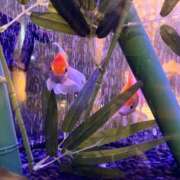 最上　みうな 月曜日は10時から🤭 エテルナ京都