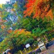 ヒメ日記 2025/12/18 15:58 投稿 大澤　ことね 未熟な人妻