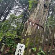 ヒメ日記 2026/06/29 23:08 投稿 大澤　ことね 未熟な人妻