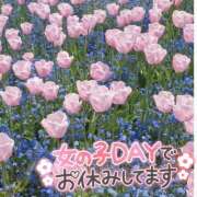 ヒメ日記 2024/05/15 14:31 投稿 しずく 千葉松戸ちゃんこ