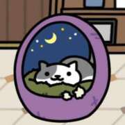 ヒメ日記 2025/06/03 07:03 投稿 ゆゆ アニバーサリー