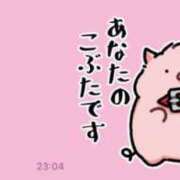 ヒメ日記 2025/06/07 12:08 投稿 ゆゆ アニバーサリー