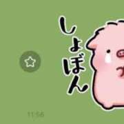 ヒメ日記 2025/07/05 18:04 投稿 ゆゆ アニバーサリー