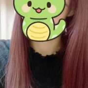 ヒメ日記 2025/01/07 19:12 投稿 りん 胡蝶蘭