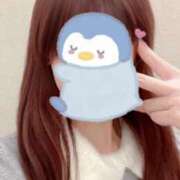 ヒメ日記 2025/01/11 12:45 投稿 りん 胡蝶蘭