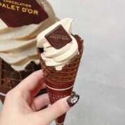 ヒメ日記 2025/02/11 10:48 投稿 りん 胡蝶蘭