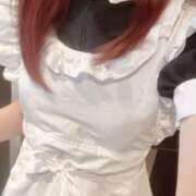 ヒメ日記 2025/04/13 10:20 投稿 りん 胡蝶蘭