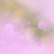 ヒメ日記 2025/10/15 20:57 投稿 小倉　百合 メンズエステ那須塩原