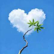 ヒメ日記 2026/02/12 13:25 投稿 小倉　百合 メンズエステ那須塩原