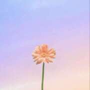 ヒメ日記 2026/03/15 13:03 投稿 小倉　百合 メンズエステ那須塩原