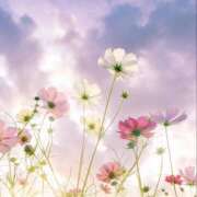 ヒメ日記 2026/03/29 14:31 投稿 小倉　百合 メンズエステ那須塩原